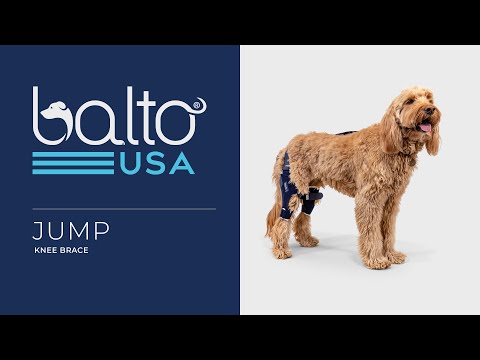 balto jump overview video