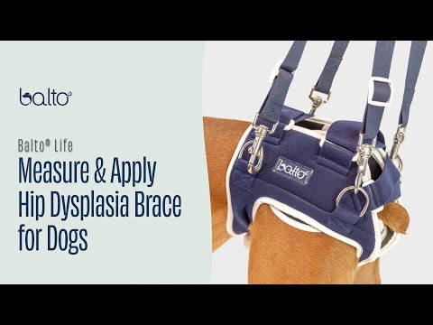 Balto® Life – Hip Dysplasia Brace