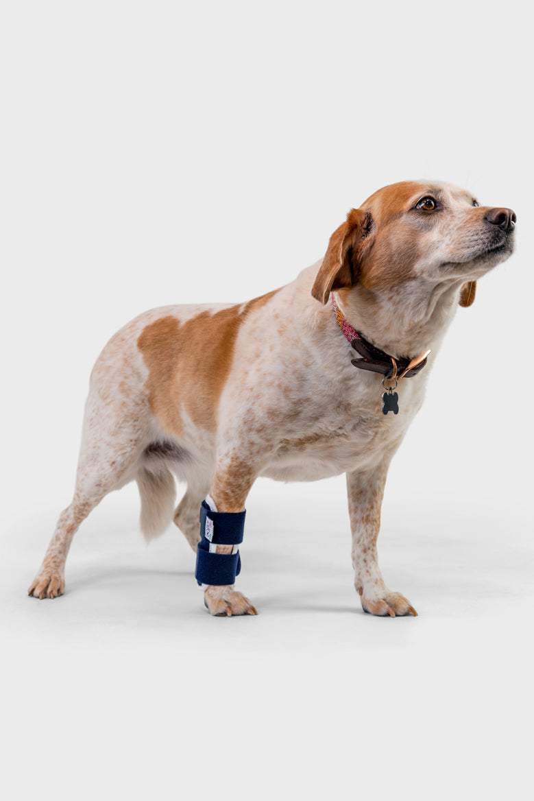Balto shop carpal brace