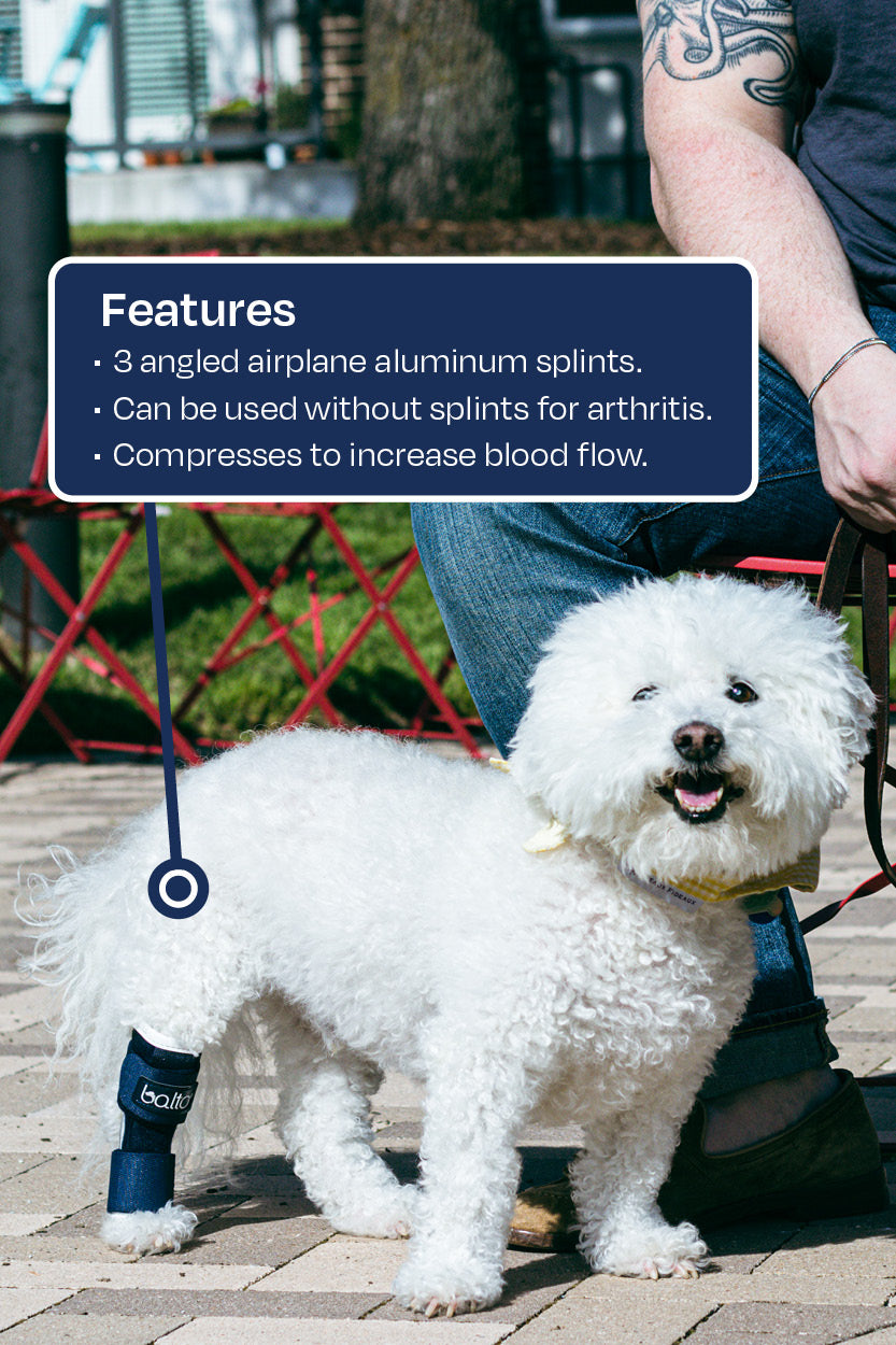 Balto® Hock – Hock Brace