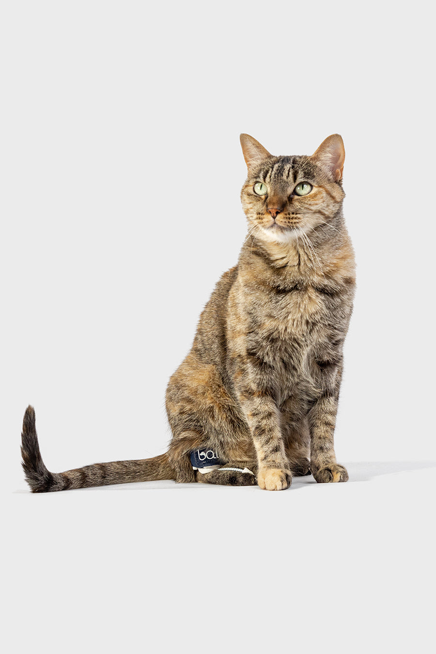 Balto® Pull Cat – Carpal Hyperflexion