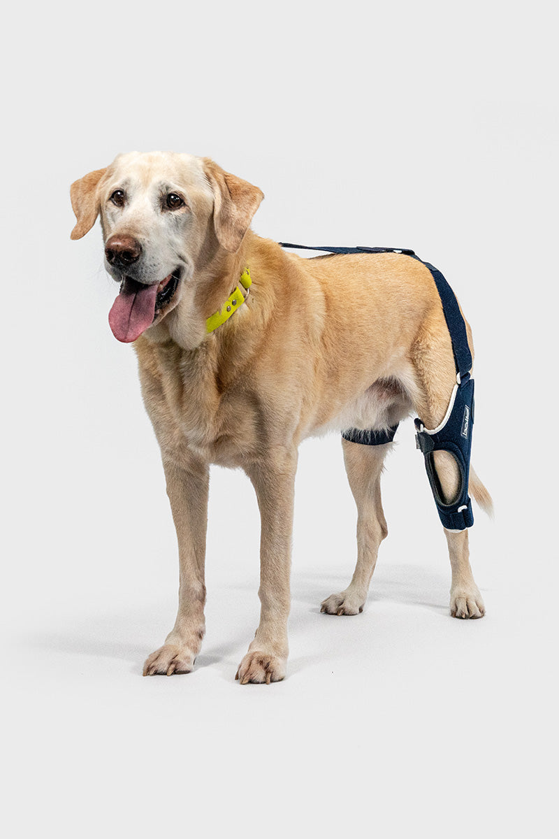 Balto® Jump – Knee Brace