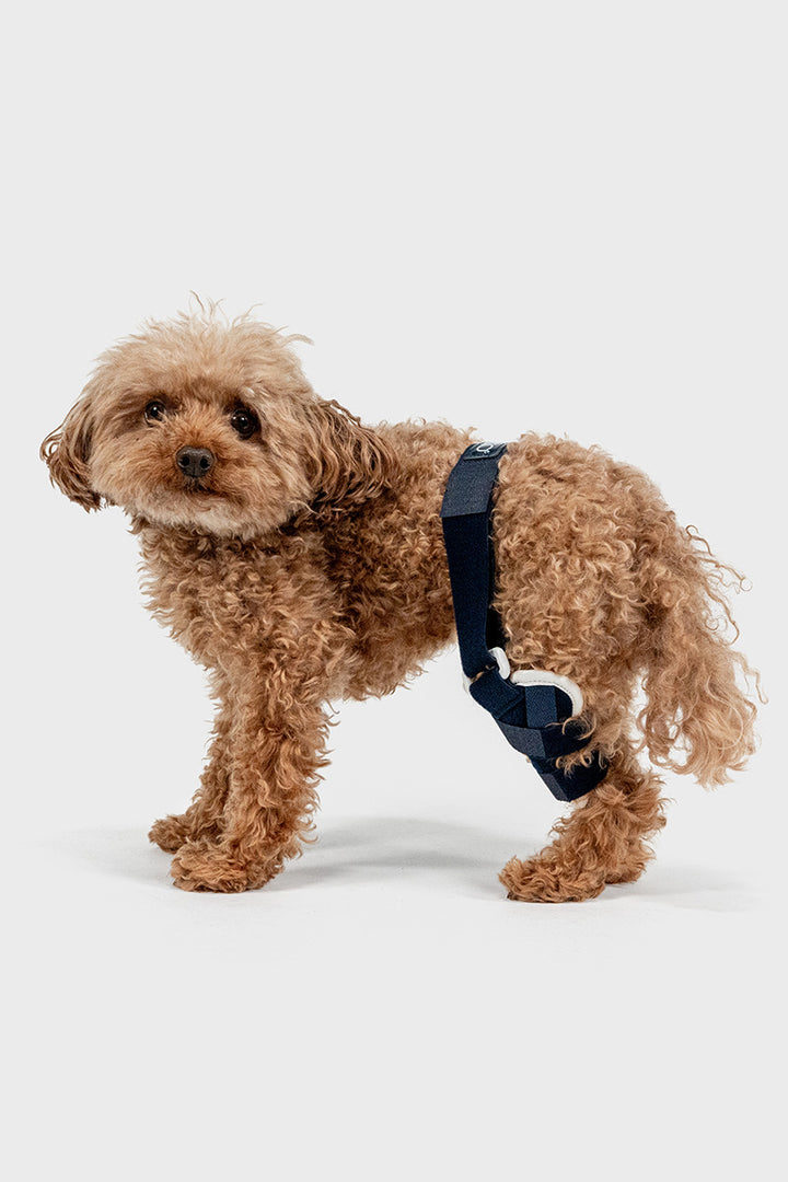 Balto® Jump – Knee Brace