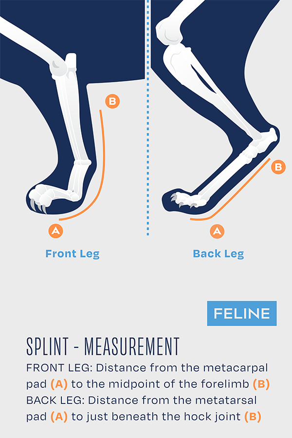 Balto® Splint Cat – Carpal/Metatarsal Laxity Splint for Felines