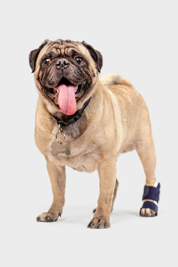 Balto® Splint – Carpal/Metatarsal Laxity Splint