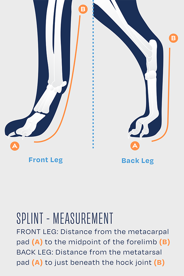 Balto® Splint – Carpal/Tarsal Laxity Splint