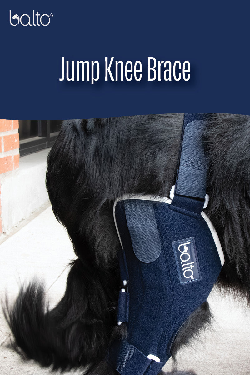 balto jump overview video