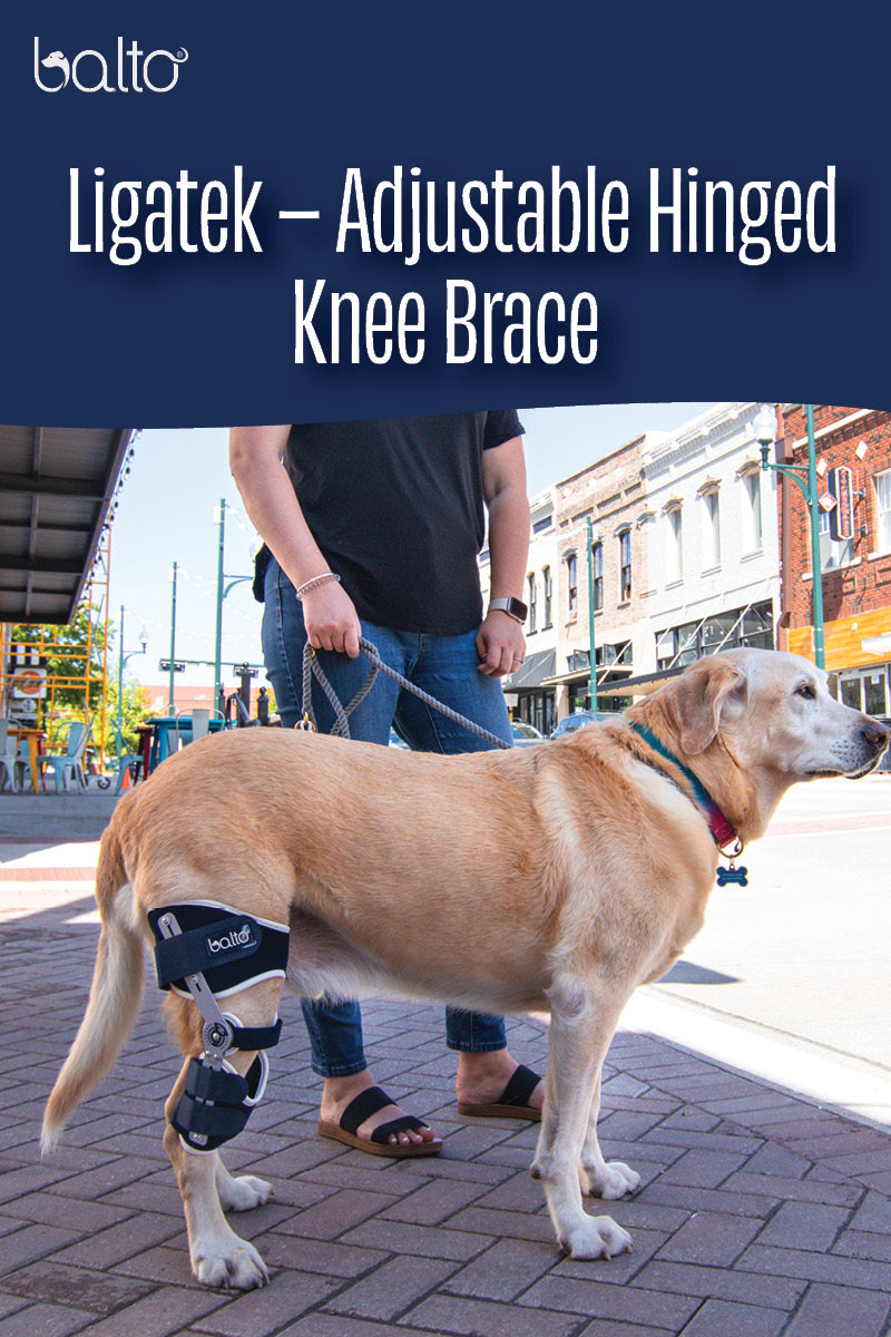 instructional video of ligatek balto brace