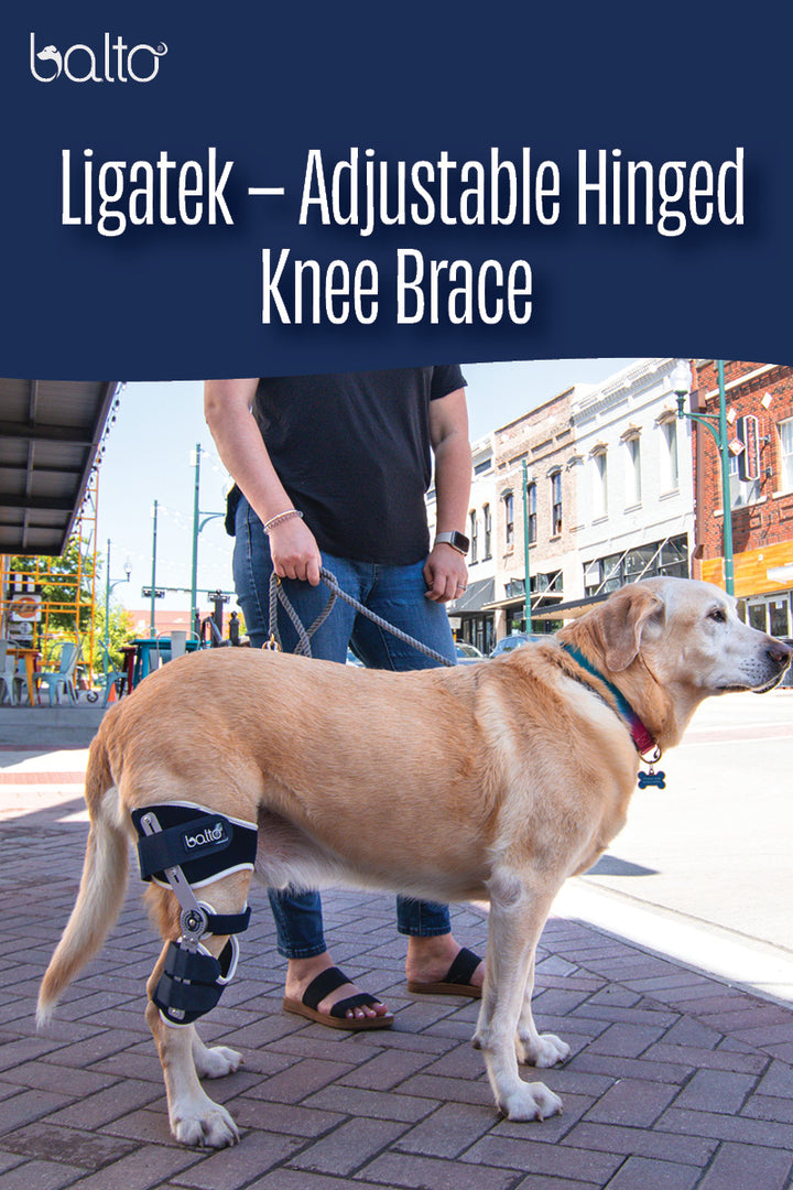 instructional video of ligatek balto brace
