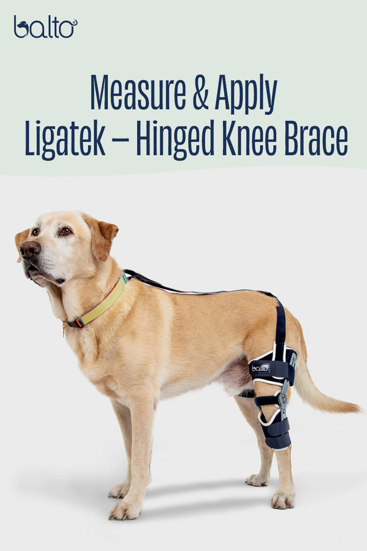 Balto® Ligatek – Adjustable Hinged Knee Brace