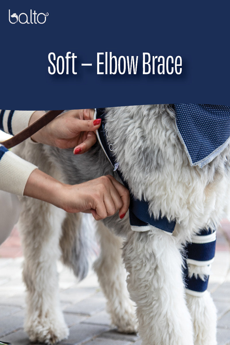 baltousa soft brace for canine dog video tutorial and overview