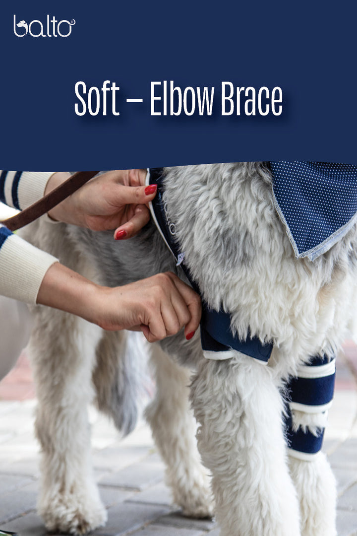 baltousa soft brace for canine dog video tutorial and overview