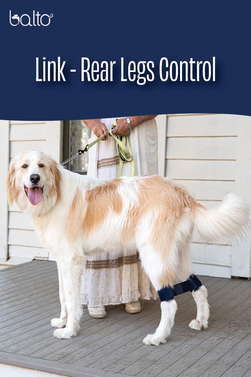 Balto Link - Rear Legs Control 