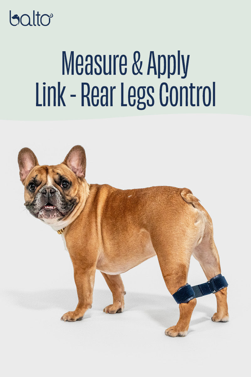 Balto Link - Rear Legs Control 