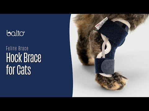 balto uk hock brace for felines overview video