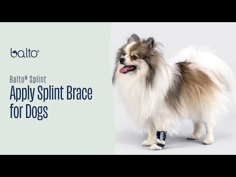 Balto® Splint – Carpal/Tarsal Laxity Splint