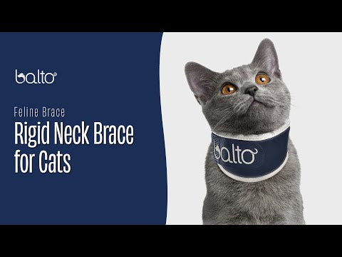 balto uk neck brace for cats overview video