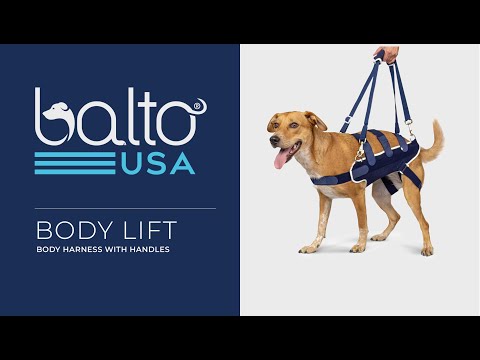 balto body lift overview video