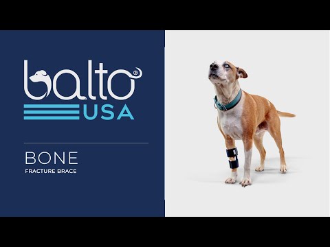 balto bone brace overview video