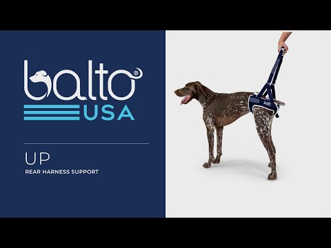 balto up overview video on youtube