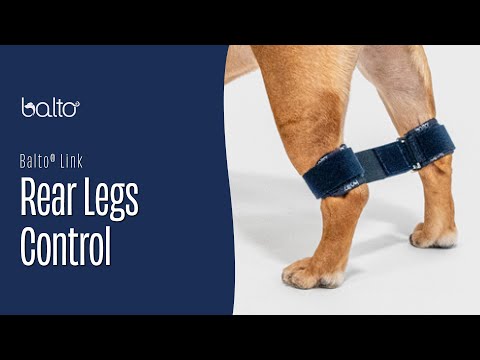 Balto Link - Rear Legs Control 