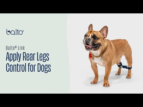 Balto Link - Rear Legs Control 