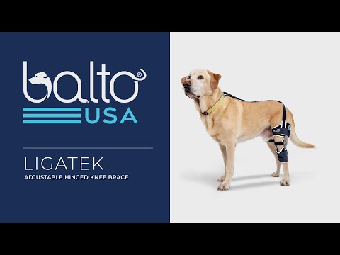 instructional video of ligatek balto brace