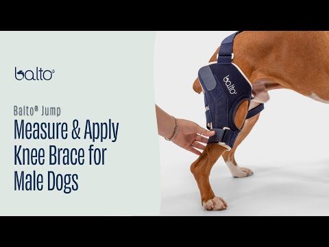 Balto® Jump – Knee Brace
