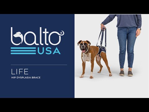 balto life brace tutorial overview video
