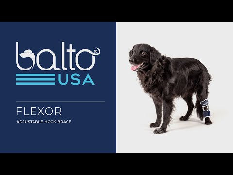 balto flexor video overview