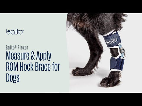 Balto® Flexor - Adjustable Hock Brace