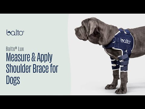 Balto® Lux – Shoulder Brace