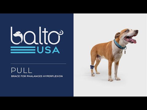 balto pull brace overview video