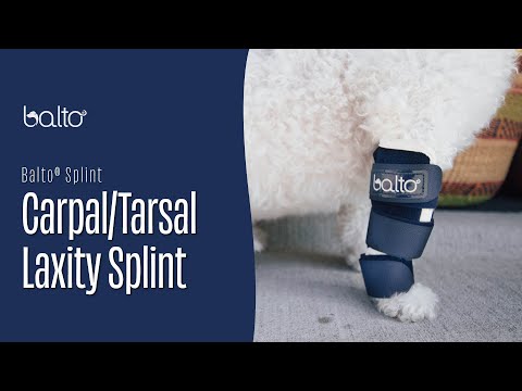 Balto® Splint – Carpal/Tarsal Laxity Splint