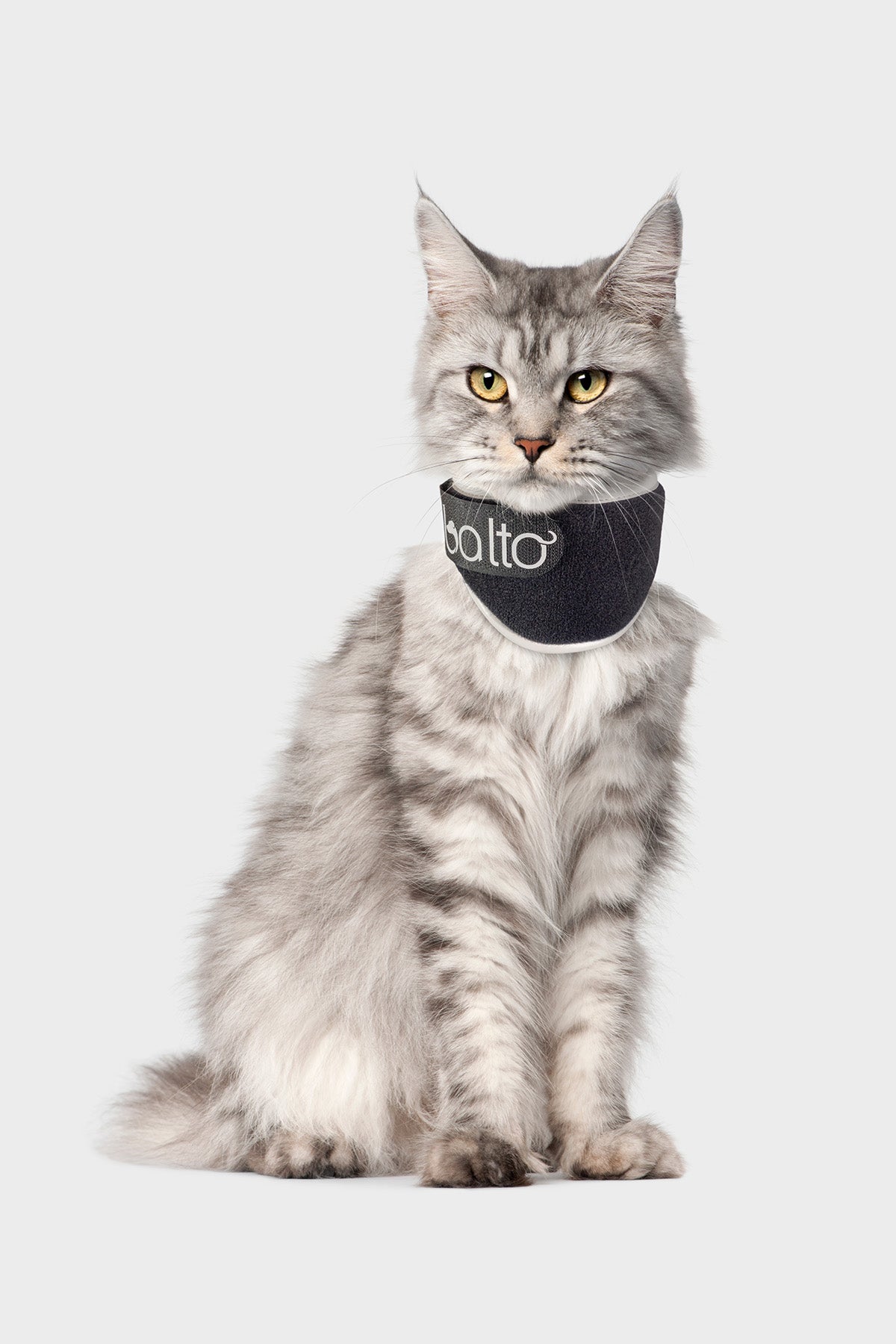 Balto Neck Eco Cat E Collar Alternative for Felines Balto UK