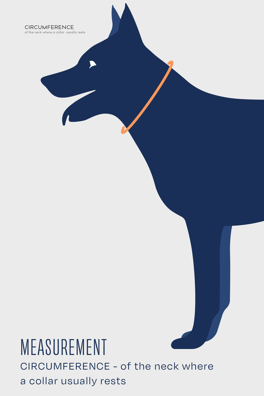 balto uk neck brace for dogs measurement guide