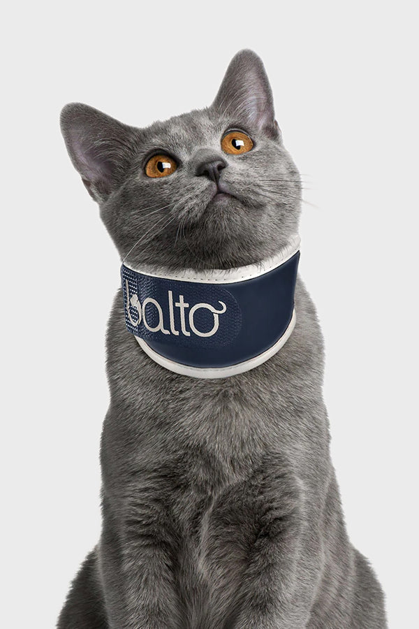 Balto neck brace clearance