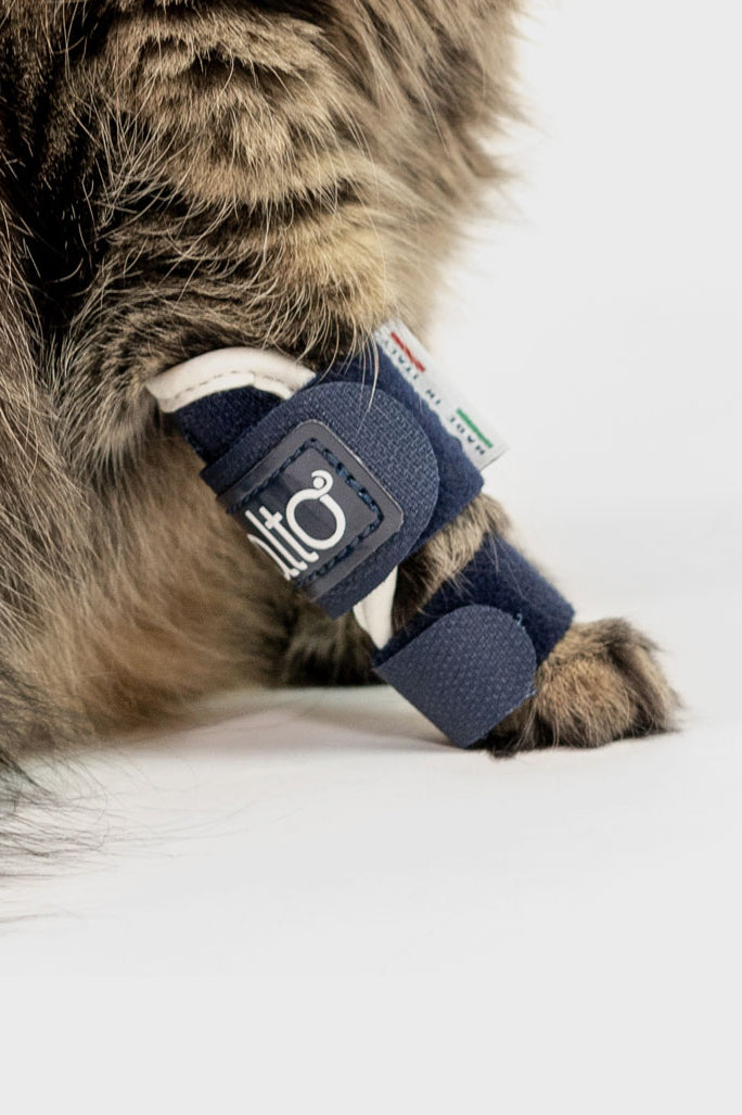 Balto online brace coupon