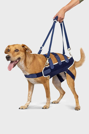 Balto Body Lift Body Harness with Handles Balto UK