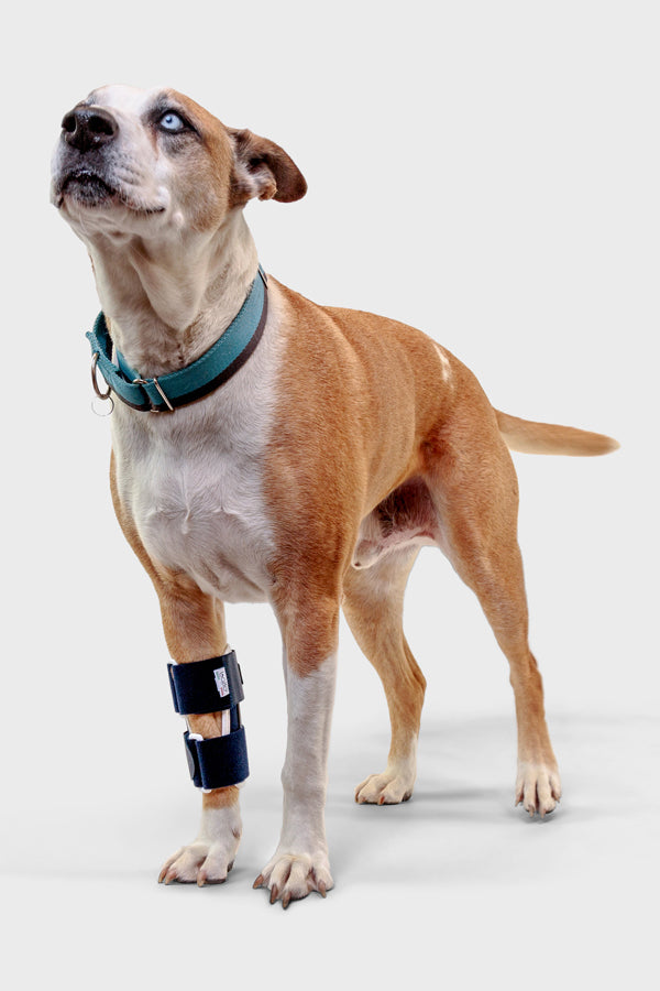 Balto® Bone – Fracture Brace - Main Image