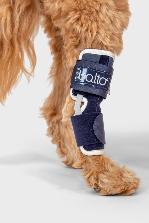 balto uk hock brace for dogs back leg detail