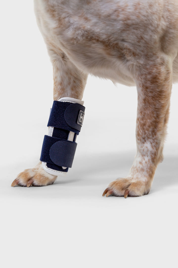 Compression bandage for dogs outlet