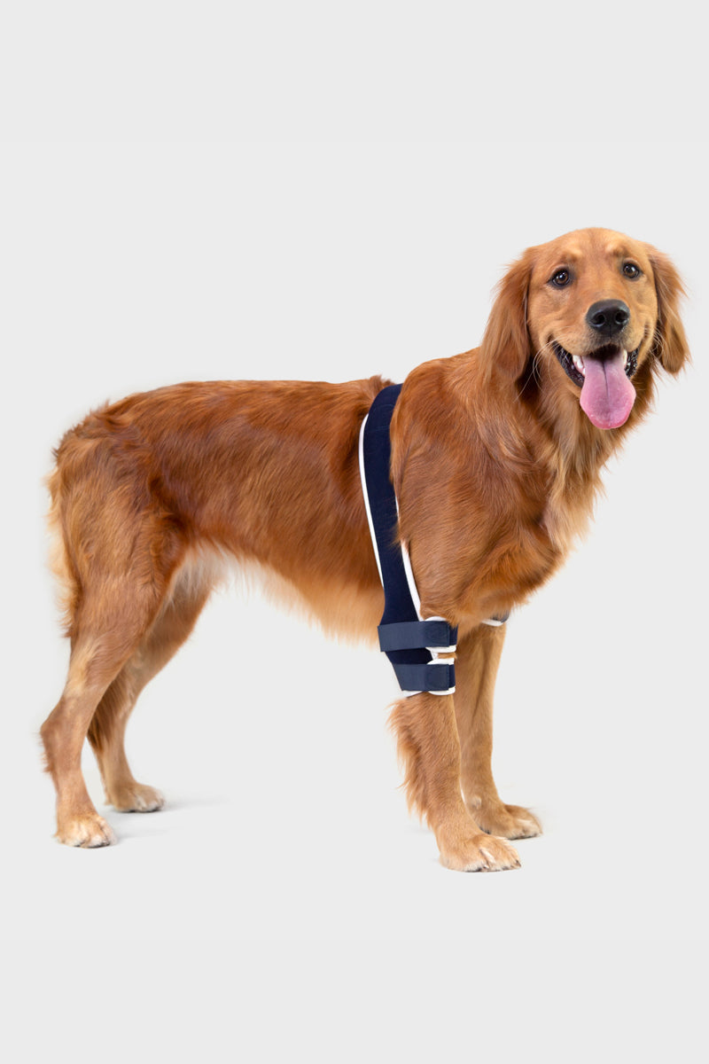 balto uk soft brace for canine elbow support main view